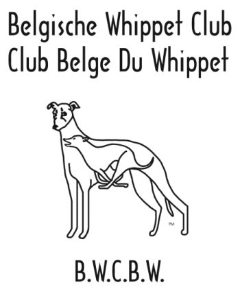 vzw Belgische Whippet Club Belge du Whippet asbl