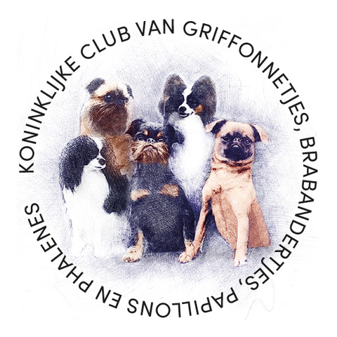 vzw Koninklijke Club van Griffonnetjes, Brabandertjes, Papillons en Phalènes - KCGBPP