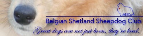 Belgian Shetland Sheepdog Club